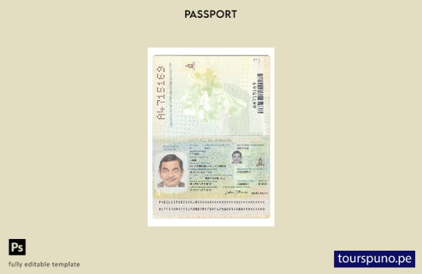 Plantilla actual de pasaporte de Ecuador lista para imprimir 1